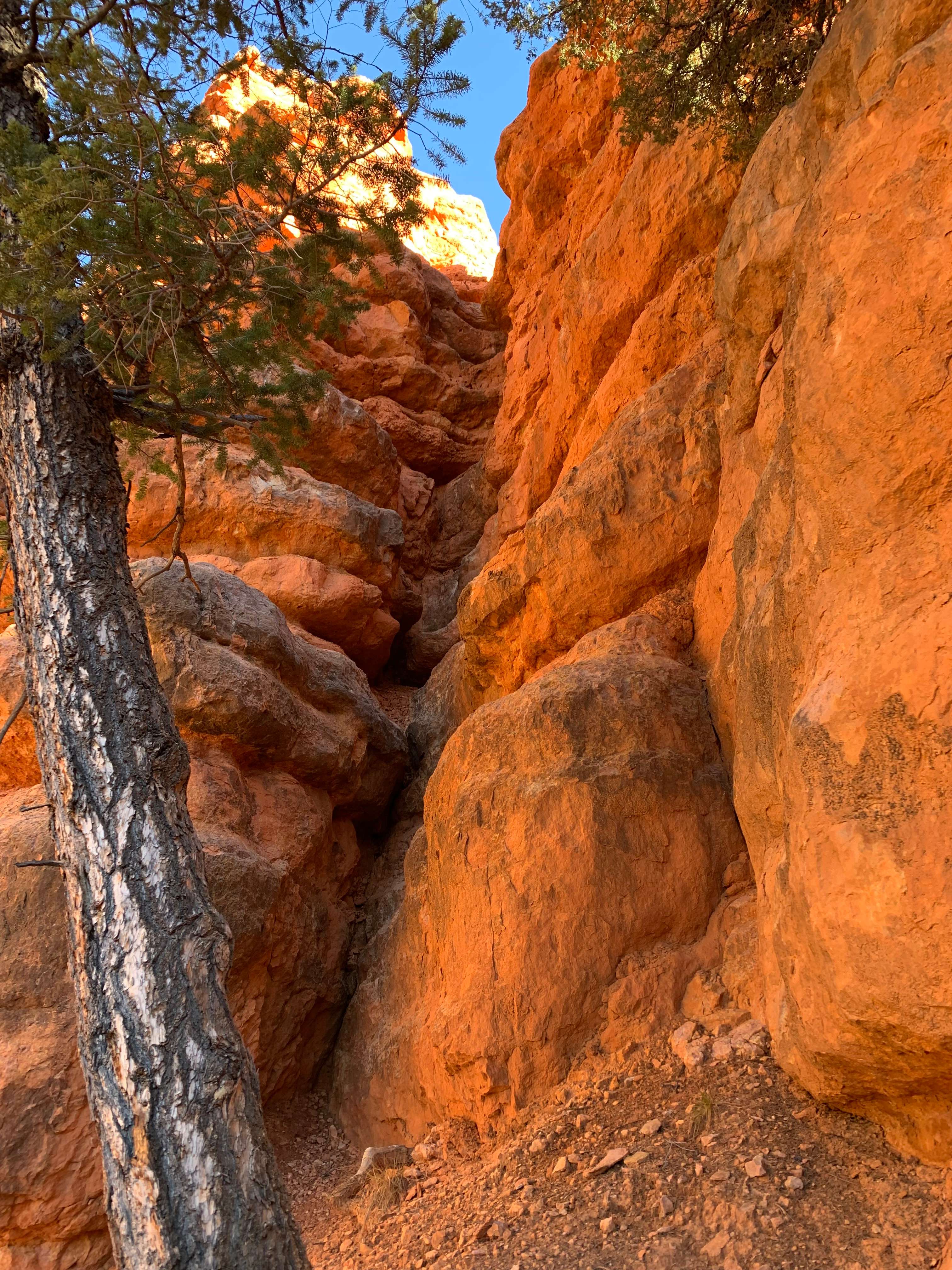 Red Canyon